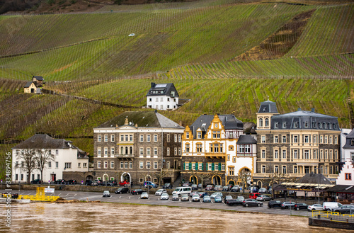 vineyards in bernkastel photo