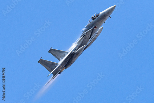 very high speed bird