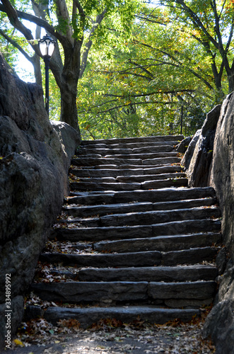 Stone Steps in the Park