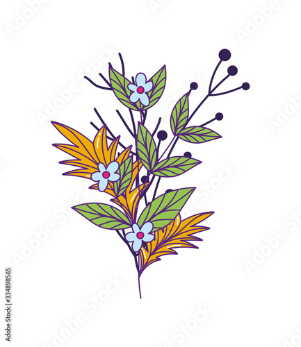 Isolated natural flowers with leaves vector design