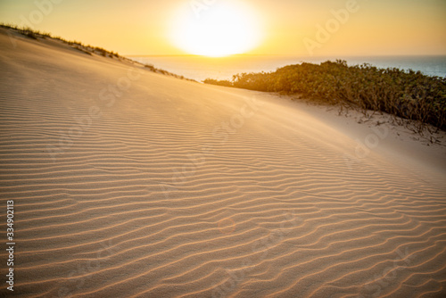 Fototapeta Naklejka Na Ścianę i Meble -  Top view of the famous dune of Ponta Grossa Beach, Icapui, Ceara, Brazil on September 5, 2016, highlighting the texture of the sand and natural vegetation with the sunset in the background
