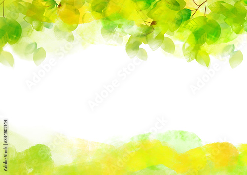 リーフ、葉、葉っぱ、木、樹、新緑、樹木、光、植物、爽やか、背景、風景、ECO、エコロジー、環境、初夏、夏、イラスト、素材、木漏れ日、グリーン、枝、木陰、空、若葉、エコロジーイメージ、青葉、文字スペース、バックグラウンド、緑、季節、四季、木の葉、キラキラ、新芽、自然、緑の葉、輝き、真夏、コピースペース、パターン、白背景、白バック、緑色、背景素材、芽、発芽