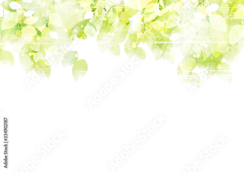 リーフ 葉 葉っぱ 木 樹 新緑 樹木 光 植物 爽やか 背景 風景 Eco エコロジー 環境 初夏 夏 イラスト 素材 木漏れ日 グリーン 枝 木陰 空 若葉 エコロジーイメージ 青葉 文字スペース バックグラウンド 緑 季節
