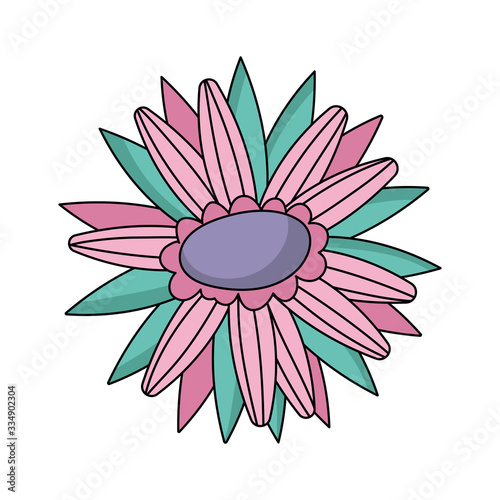 Isolated botanical flower vector design
