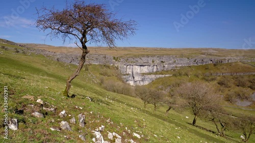 4k Footage of a tree over looking Malham Cove a landmark in the Yorkshire Dales National Park, UK photo