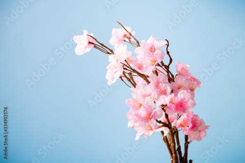Photos Artificial cherry blossom flower on blue background