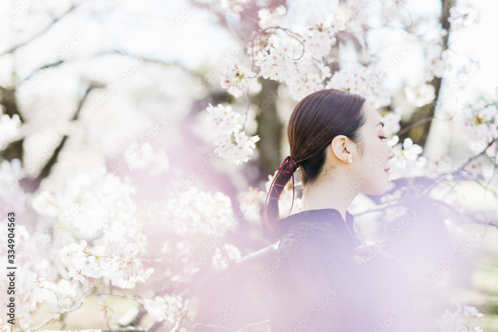 満開の桜と東洋美を備えた女性 満開の桜と東洋美を備えた女性