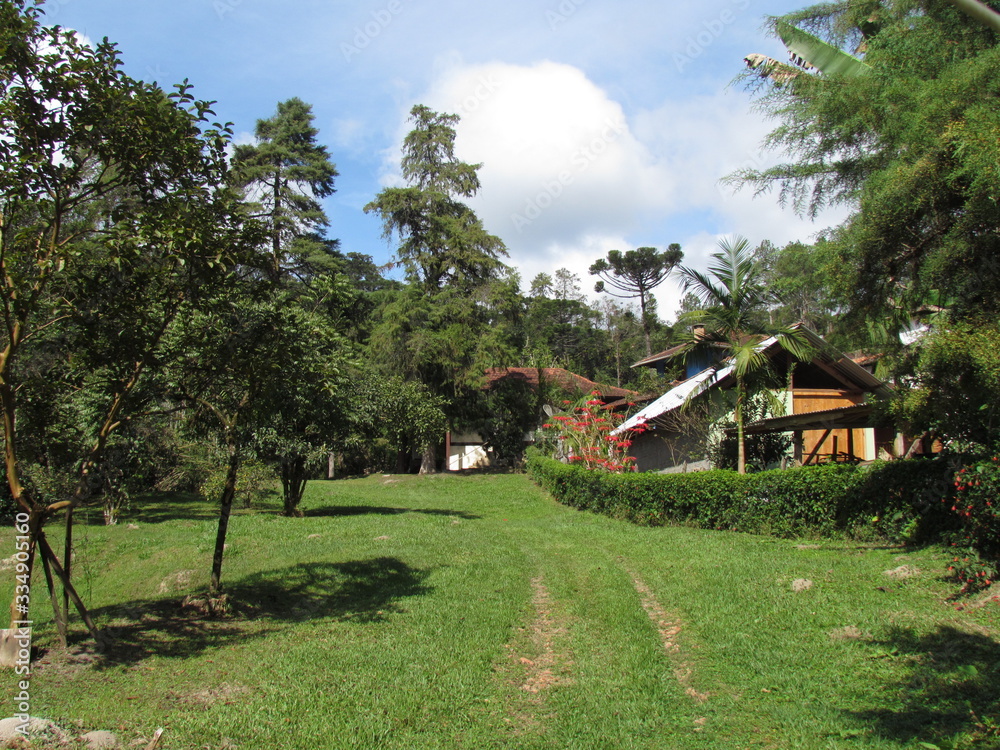 Buildings harmonized with the original vegetation Buildings harmonized with the original vegetation