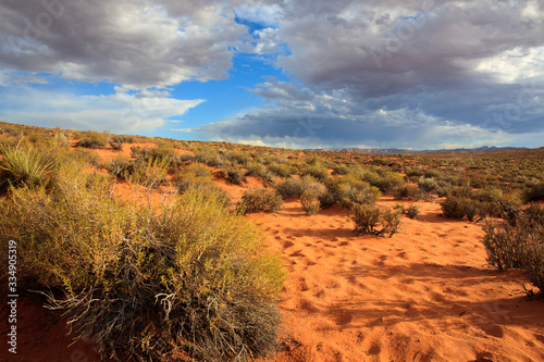Fototapeta Naklejka Na Ścianę i Meble -  Page, Arizona / USA - August 05, 2015: Landscape near Horseshoe Bend, Page, Arizona, USA