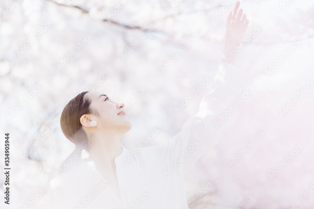 満開の桜と東洋美を備えた女性 満開の桜と東洋美を備えた女性