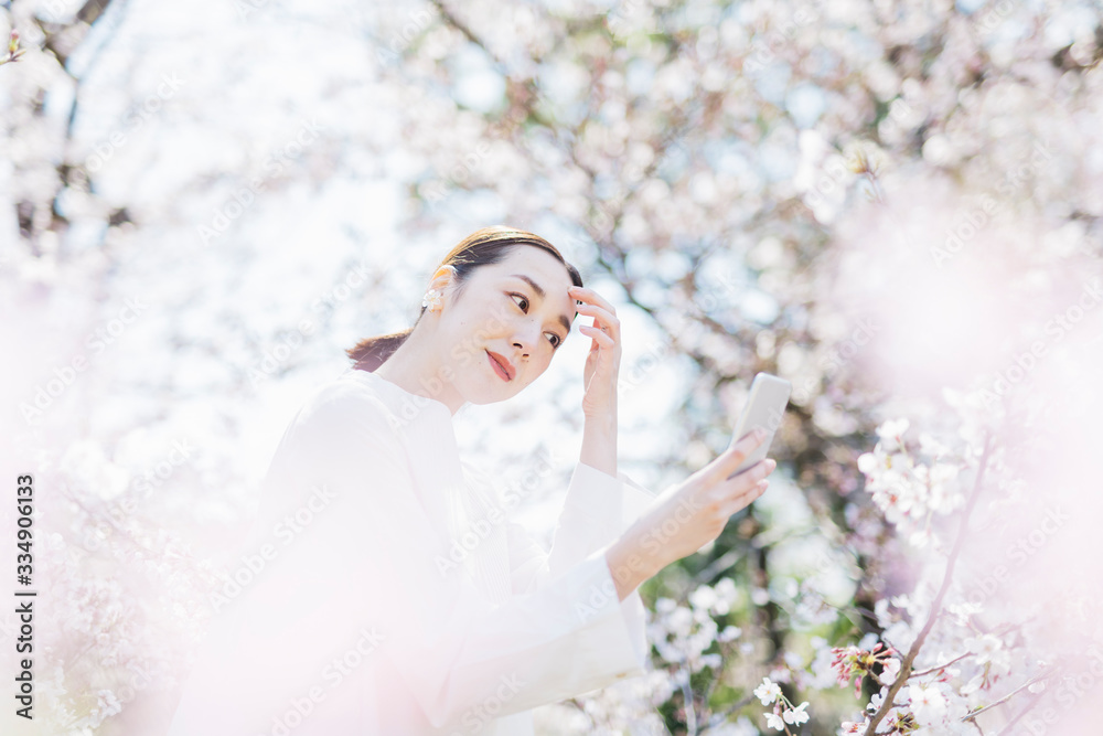 スマートフォンで桜を撮る女性 スマートフォンで桜を撮る女性