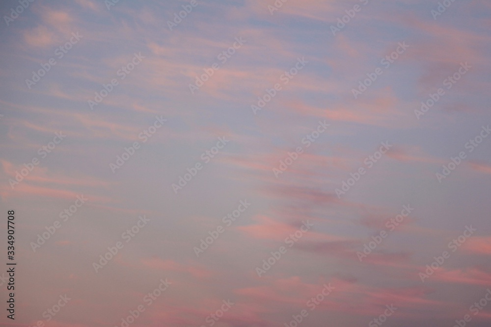 Pink clouds and blue sky