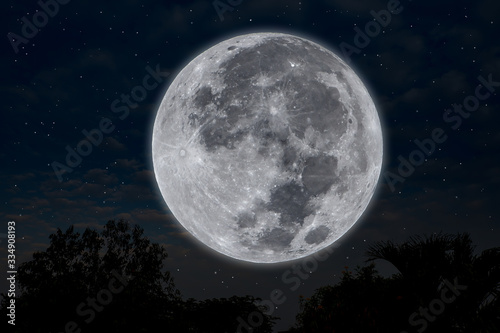 Full moon on silhouette tree in the sky.