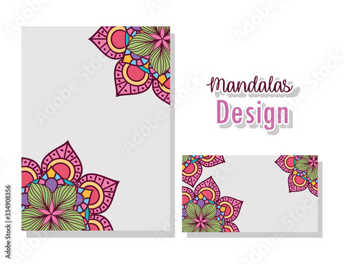 Isolated mandalas cards vector design