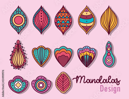 mandala leaves drops feathers vector design