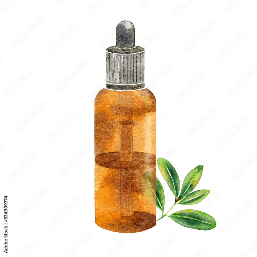 Watercolor glass bottle with tea essential oil. Watercolor glass bottle with tea essential oil.