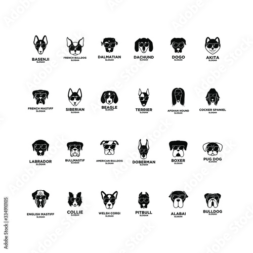 big collection set dog breed head logo icon design