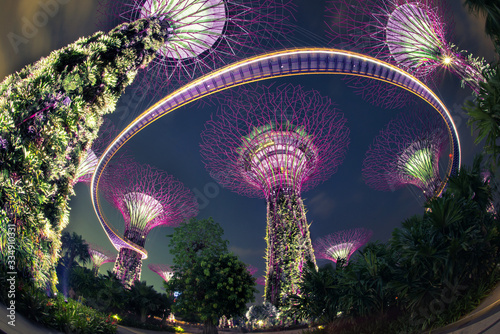 Gardens by the Bay in Singapore photo