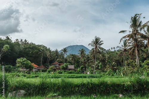 Tropical Landscape with Agung volcano. Bali Indonesia