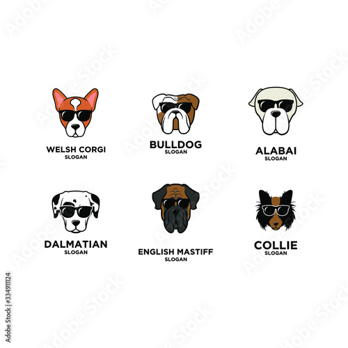 big collection set dog breed head logo icon design