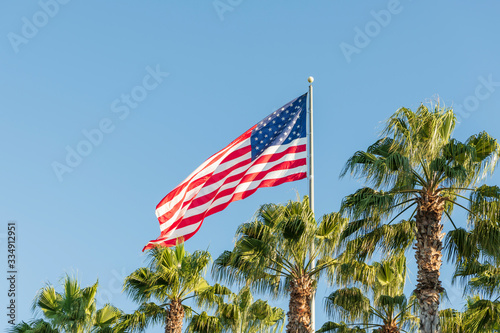 Horizontal image  of waving American above palm trees.