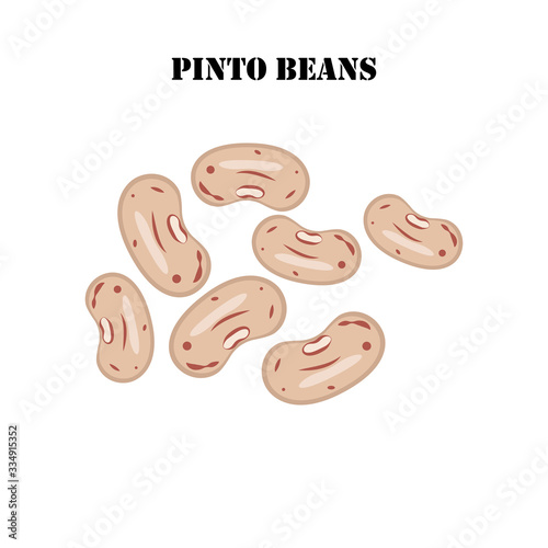 Pinto beans healthy organic nutrition vector illustration