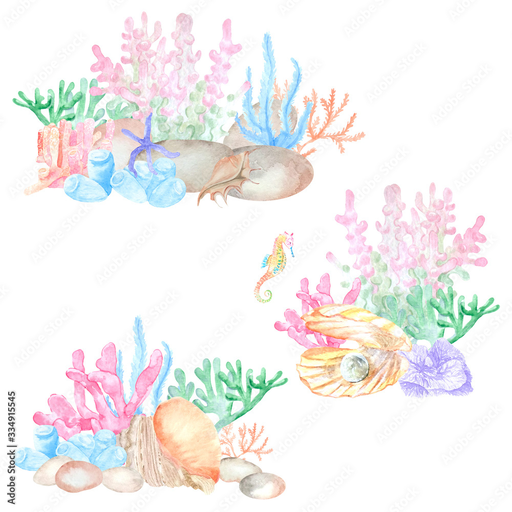 Watercolor set of pictorial objects of coral, algae, seashells. Perfect for designing cards, invitations, logos, websites, textiles, souvenirs, decoupage and other creative projects.