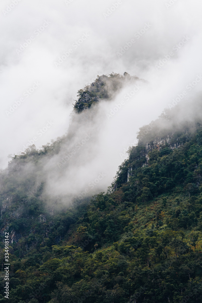 Fototapeta premium A landscape with fog and the nice view of mountains and forest at Chiang Dao, Thailand