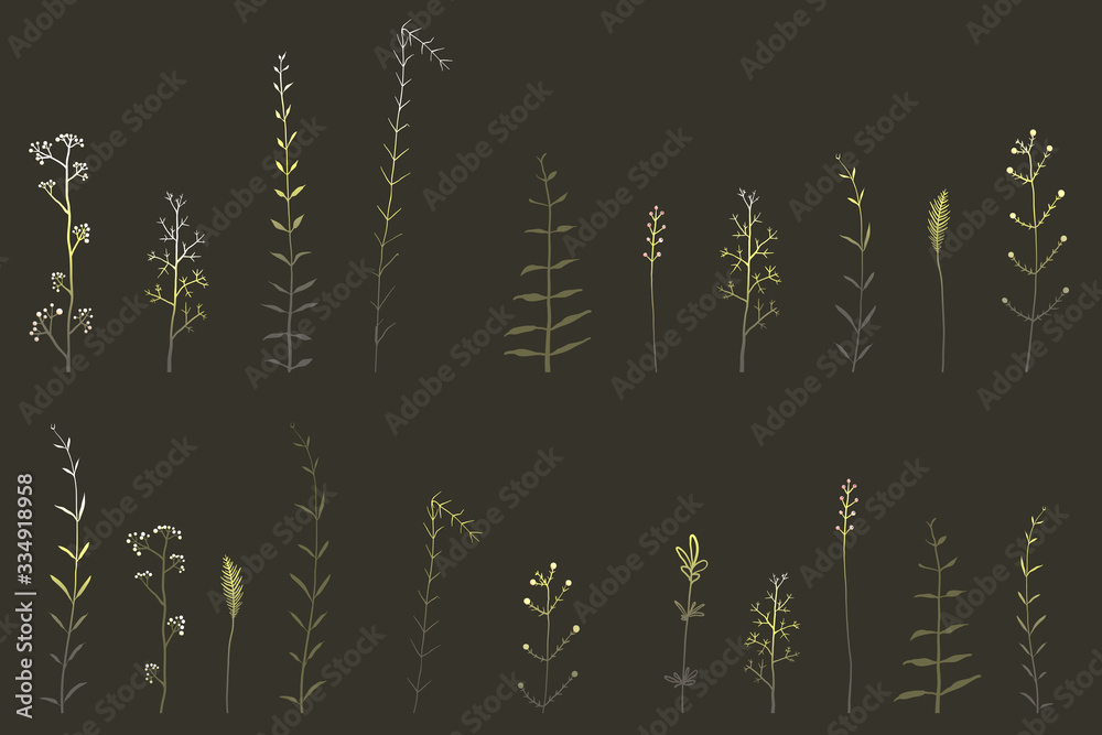 Wild herbs and grass hand drawn clip art elements on black background, isolated meadow herbal shapes with dark gradient.