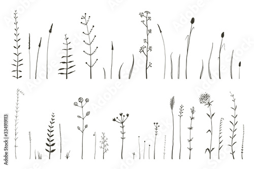 Wild grass and herbs monochrome botanical collection of brushes for Illustrator. Field and Meadow decorative elements.