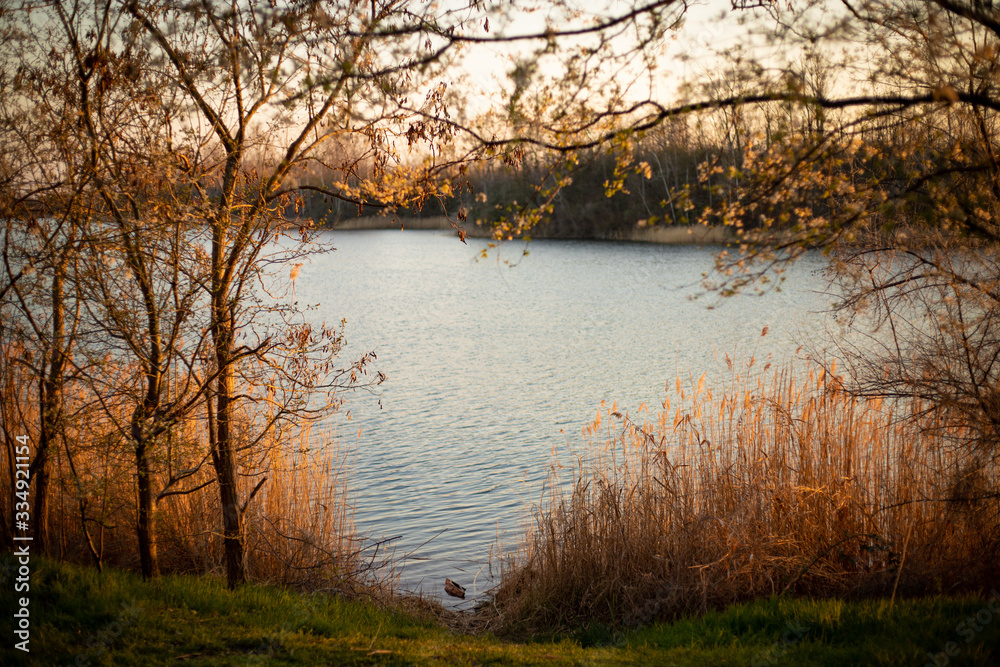 Fototapeta premium Hufeisensee am Abend