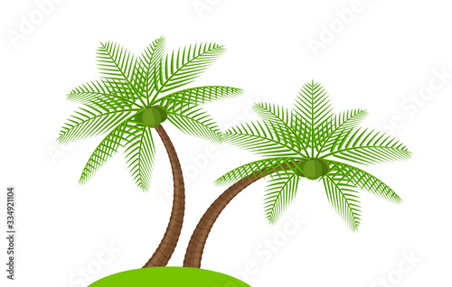 two coconut tree simple isolated on white  illustration coconut palm tree  coconut tree for clip art  palm tree on small hill island