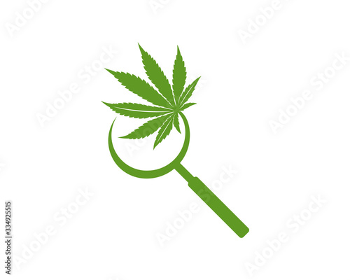 Cannabis Search logo design vector template. Creative Cannabis on white background