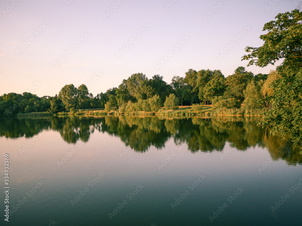 Landscape of a forest reflected in the water of a lake Landscape of a forest reflected in the water of a lake