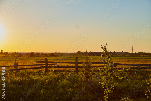 Countryside in with a meadow  field and a fence with wooden poles and posts in the evening during sunset