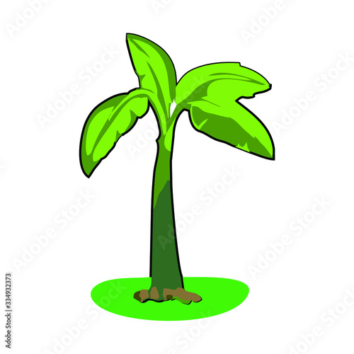 vector tree sorts with a white background