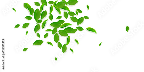 Falling green leaves. Fresh tea chaotic leaves fly