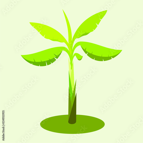 vector tree sorts with a white background