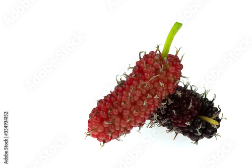 Mulberry berry isolated on the white background.