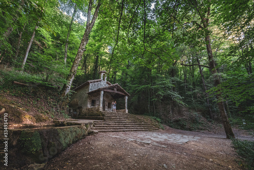 La Fageda d en Jord    la Garrotxa