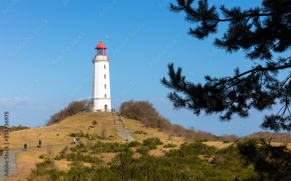 The Dornbusch lighthouse on the German island of Hiddensee in the Baltic Sea. It is a beautiful winter day with blue sky and sunshine. In the foreground a pine tree.