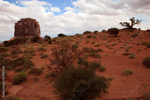 Utah/Arizona / USA - August 05, 2015: The Monument Valley Navajo Tribal Reservation landscape, Utah/Arizona, USA photo