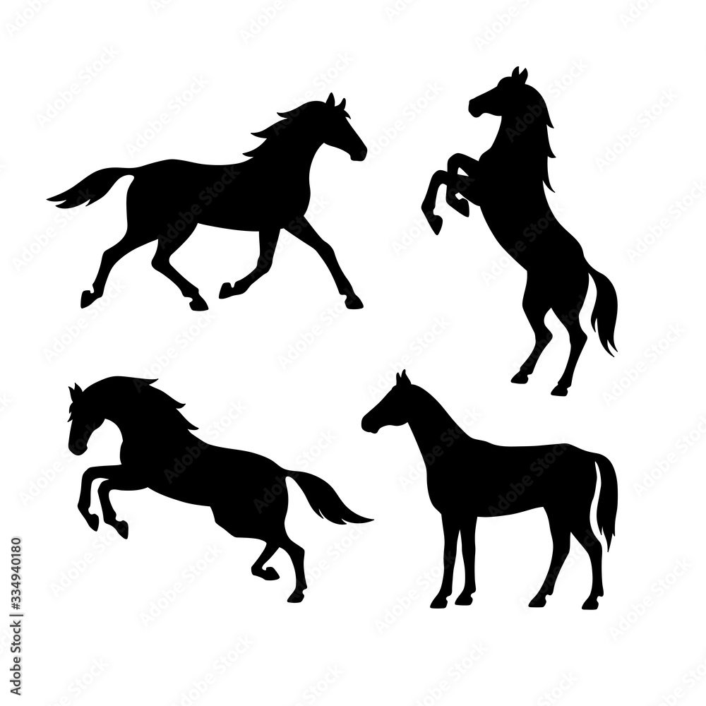 Obraz Zestaw sylwetki koni. Na białym tle czarna sylwetka galopu, skakanie, bieganie, kłusowanie, chów konia na białym tle. Widok z boku.