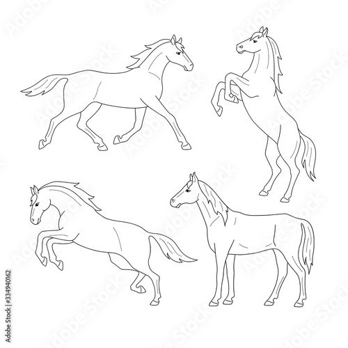 Set of line horses. Isolated black outline galloping  jumping running  trotting  rearing horse on white background. Side view. Curve lines. Page of coloring book.