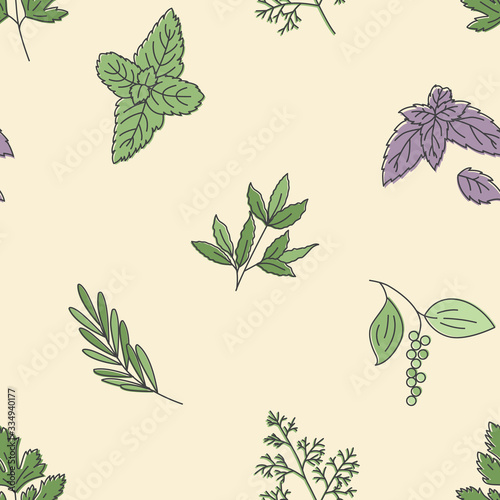 Herbs and condiments icons pattern. Herbs leaves seamless background. Seamless pattern vector illustration