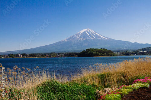 Mt Fuji at lake Kawaguchiko