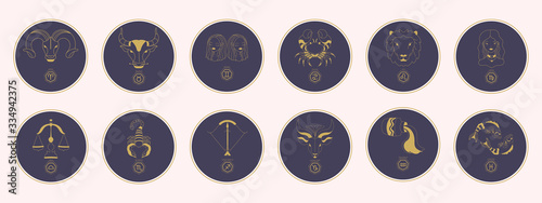 Golden zodiac signs in a purple circle. Trendy vector illustration.
