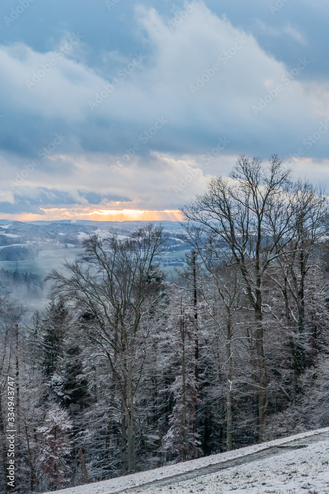 Verschneiter Wanderweg zur Abenddämmerung