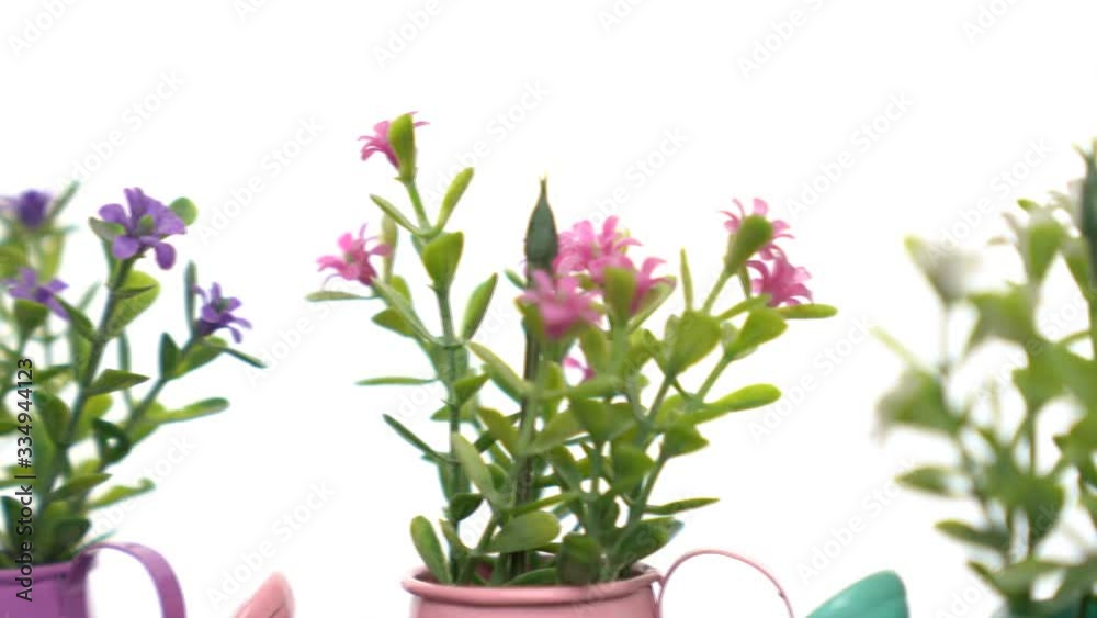 Pink, purple, and wihte artificial flowers with flowerpot rotate slowly on white background. Pink, purple, and wihte artificial flowers with flowerpot rotate slowly on white background.