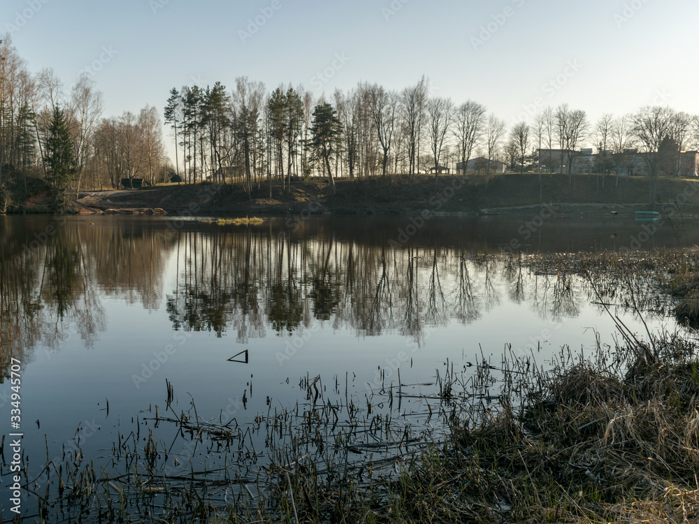 tree reflections in water, early spring landscape tree reflections in water, early spring landscape
